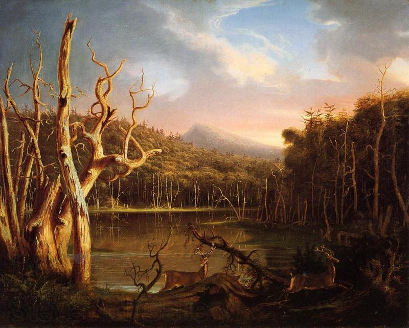 Thomas Cole Lake with Dead Trees